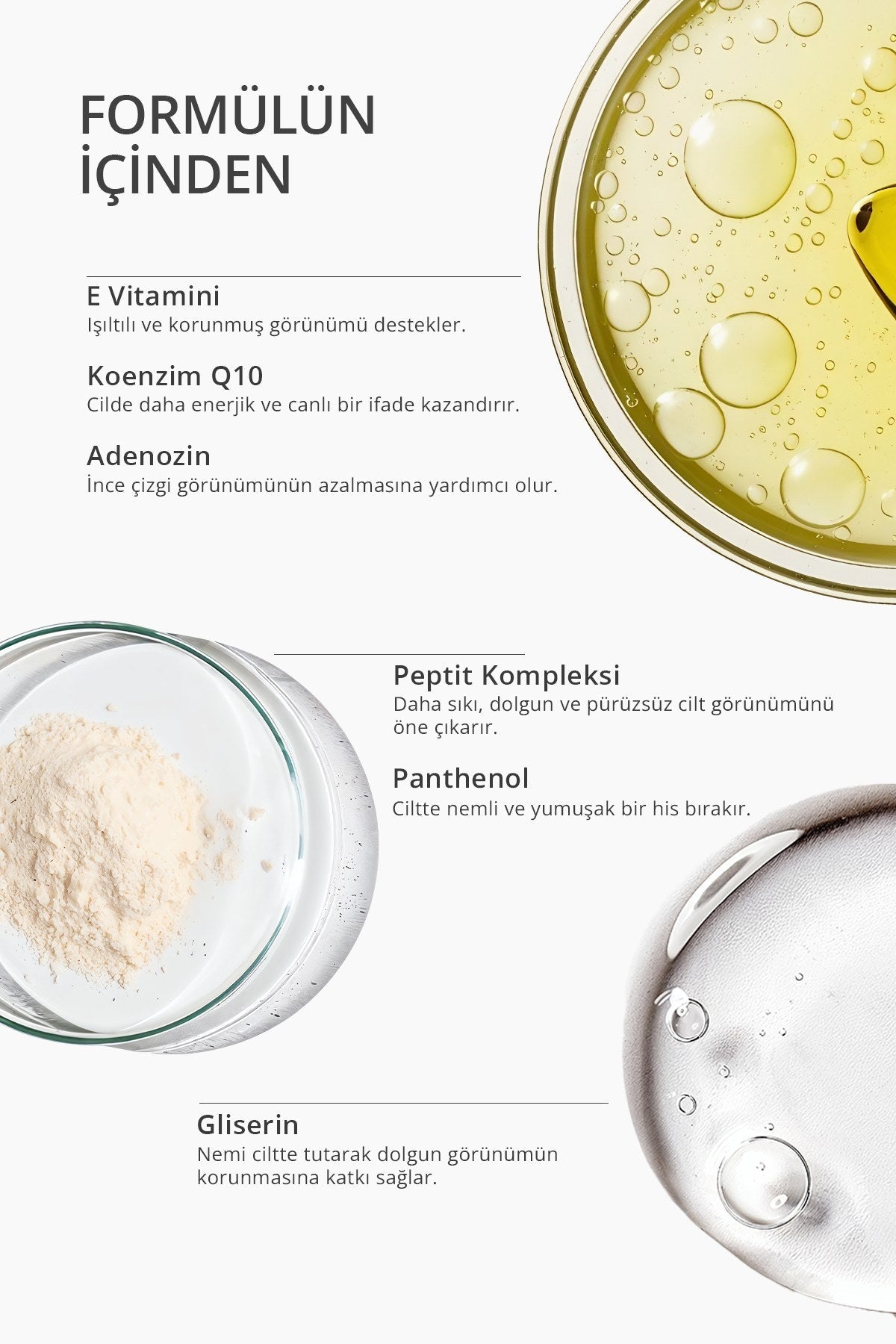 EverLift formül içeriği